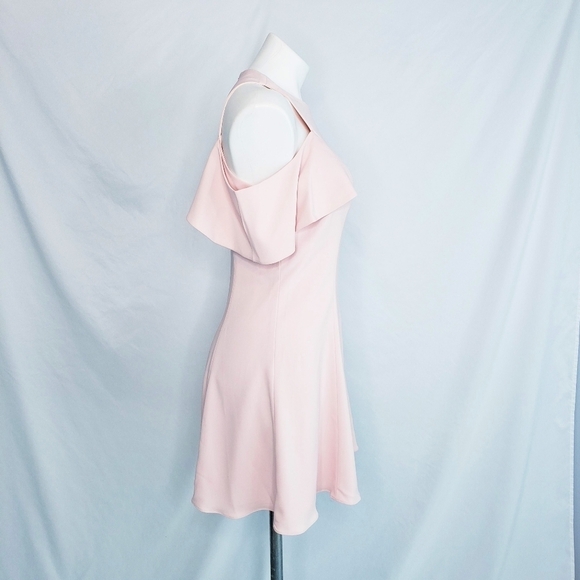 JayGodfrey Ruffle Sleeve Fit & Flare Dress Pink - Picture 4 of 13